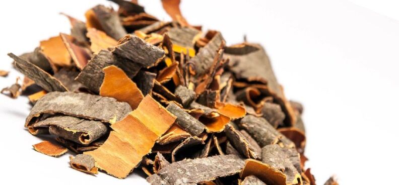 Poplar bark for the preparation of broths and infusions that increase male potency