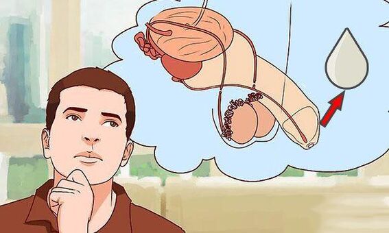 discharge into men when excited