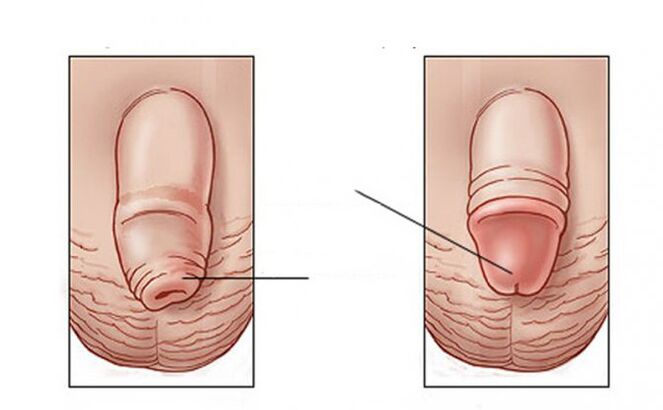 what activity carries out the lubricant